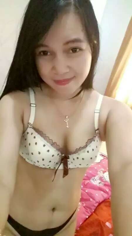 Sawit Viral Indo 2026 Gairah Yang Muncul Di Balik Kabut Pagi Smart Solutions